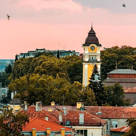 Salt 게스트하우스 포마리